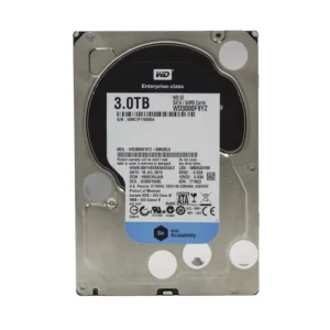 WD3000F9YZ